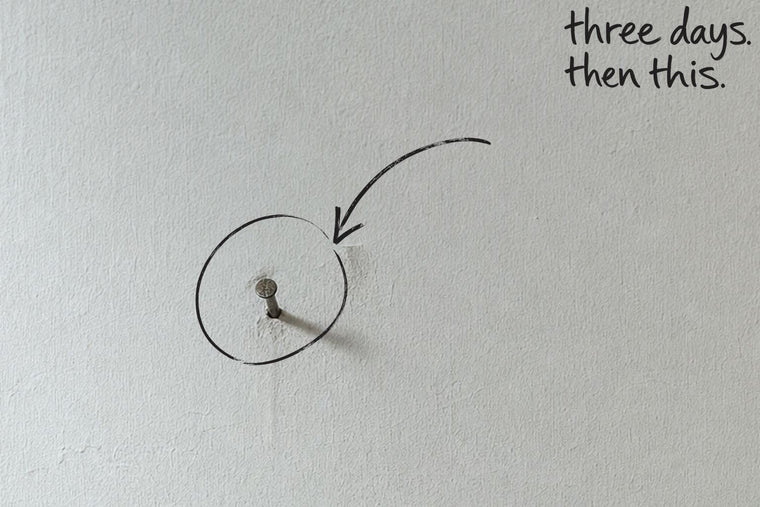 A single nail left in a bare plaster wall, fresh dust below it, the nail circled in open black marker, an arrow from the handwritten words three days, then this, by Willem van der Krieken